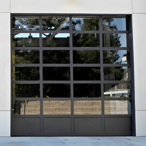 Full View Glass Sectional Garage Door