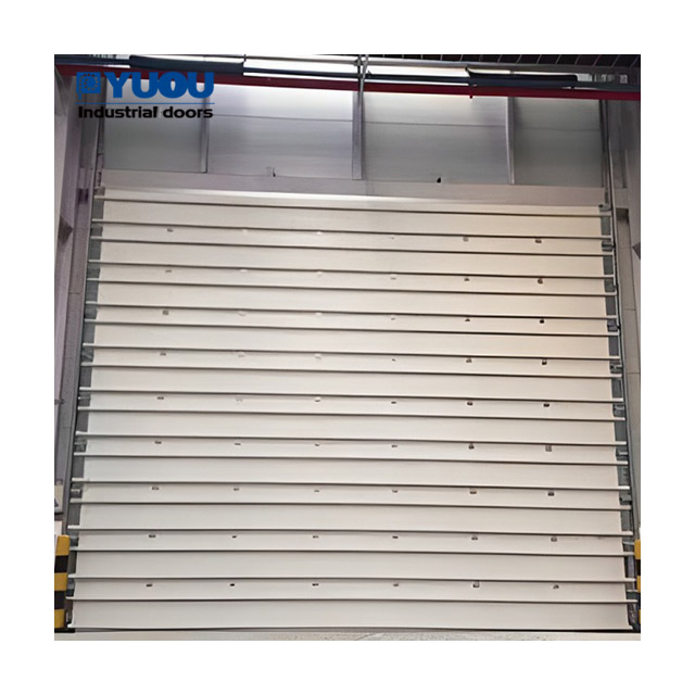 Super Size Windproof Insulated with Rib Industrial Sectional Door